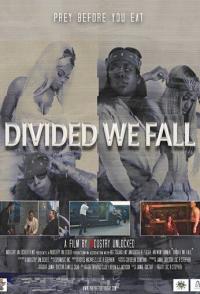 Divided We Fall