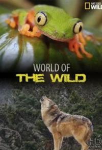 World of the Wild