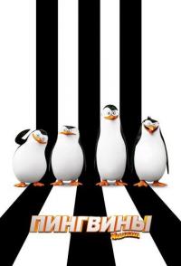 Пингвины Мадагаскара