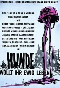 Собаки, хотите жить вечно?