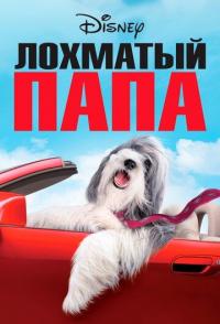 Лохматый папа