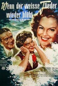 Когда цветет белая сирень