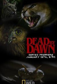 Dead by Dawn